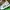 Adidas Cloudfoam Racer TR21 44 photo 3