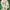 Adidas Cloudfoam Racer TR21 44 photo 4