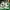 Adidas Cloudfoam Racer TR21 44 photo 6