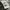 New Era Streetwear Sportswear T-shirt Pria gray photo 5
