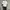 Oversize SemanticDesign Tshirt photo 1