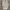 Burberry London Soft Pink Longsleeve Shirt photo 1