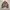 UNKNOWN DETROIT WORK JACKET COKSU photo 4