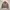 UNKNOWN DETROIT WORK JACKET COKSU photo 1