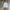 Nike Loose Short Pants Baby Blue photo 1
