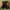 Venum Neo Mixed Martial Arts MMA Fight Jim Miller UFC Shorts photo 2