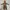 DEER COSTUME BABY - KOSTUM BAJU BAYI RUSA  photo 1