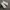 Asics Sneakers Kids photo 4