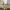 Cream balloon baggy pants photo 3