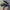 Air Jordan 1 Travis low ‘PHANTOM BLACK’ photo 1