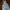 Carhartt Overall Denim Jeans Outer photo 1