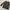 Jaju Sherpa Quilted Snap Button Jacket photo 2