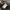 Jaju Sherpa Quilted Snap Button Jacket photo 5