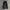 Carpenter black baggy jeans photo 3