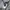 Nike Small Swoosh Hoodie Grey  photo 3