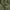 Zara Satin Olive Long Sleeve Shirt Dress Belt