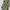 Zara satin olive long sleeve shirt dress belt photo 4