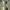 Longsleeve Polo Shirt Strip-Color photo 5