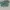 Air Jordan 1 low SE Tropical Twist photo 4