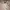 Longsleeve Polo Shirt Strip-Color photo 5