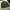 Korean brand green army parka jacket photo 1