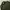 Korean brand green army parka jacket photo 2