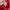 adidas red bloom photo 2