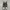 Converse Chuck Taylor All Star Cordura Field Surplus Camo photo 3