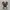 Converse Chuck Taylor All Star Cordura Field Surplus Camo photo 2