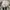 Converse Chuck Taylor All Star Cordura Field Surplus Camo photo 7