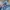 Hollister celana pendek denim wanita photo 3
