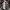 THRUXTON Snap Button Veterano Flannel Shirt photo 1