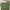 ZARA Casual Crop top Wanita green photo 3