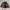 Youth and Coats Mens Canvas Detroit Work Jacket Dark Coffea  photo 3