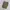 Unbrand Monkey Pants Cargo Short Pants Olive photo 3