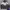 FGOIS Parachute Jacket photo 1