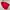 Jacket parka winter goose down paul frank merah gorpcore photo 4