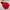 Jacket parka winter goose down paul frank merah gorpcore photo 5