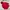 Jacket parka winter goose down paul frank merah gorpcore photo 1