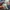 Hoodie Von Dutch photo 5