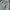 Vintage Trench coat Wanita blue photo 3