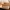 Asics Gel Nimbus 26  photo 7