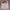 Charles And Keith Minimalist Casual Shoulder Bag Wanita Pink