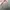 Charles and Keith Minimalist Casual Shoulder bag Wanita pink photo 4