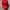 SIMPLE CAPS MERAH POLOS photo 1