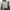 ZARA Casual Blouse Wanita white gray photo 4