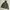 US ARMY MILLITARY photo 3