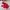 Jacket outdoor gorpcore the north face merah photo 1