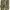 Vintage Tactical Multi pocket Military sage green photo 6