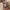 Vans authentic  photo 3